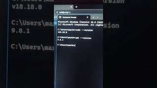 How to Install Nodejs and npm on Windows [upl. by Yelyab]