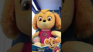 Peluche paw patrol músical Marshall o Skye  Walmart  2022  shorts pawpatrol marshall skye [upl. by Omlesna569]