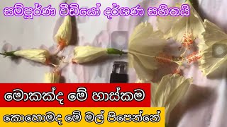 නාග මාණික්‍යය Can the cobra manikka do so much snake diamond  review antique  Yakkula Rawana [upl. by Zetta]