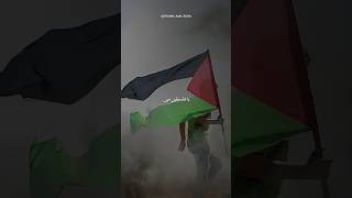 kash mai yaro Palestine ka basi hota  Special Palestine Nasheed  shorts [upl. by Imoyaba]