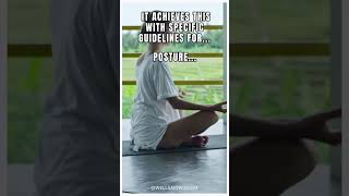 Zen Vitality Zazen and Koans Explained shorts [upl. by Uase]