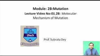 Molecular Mechanism of Mutation [upl. by Nnaeed]