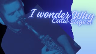 I Wonder Why  Curtis Stigers  Alto Tenor Sax Cover [upl. by Anilorac]