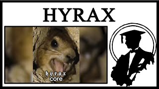 Hyraxes Are Cool [upl. by Anehta30]