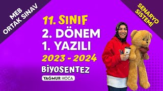 11Sınıf Biyoloji Dersi 2Dönem 1Yazılı Çalışması  100 Alma Garantili   Ücretsiz PDF  2024 [upl. by Orvan]