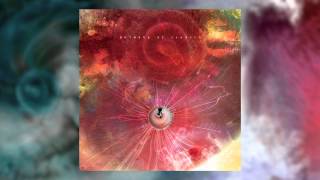 ANIMALS AS LEADERS  MindSpun [upl. by Eelan]