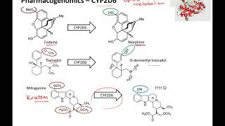 Pharmacogenomics online lecture [upl. by Akanke65]