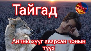 Хавханд орсон хүүг аварсан чонын түүх Гоё Түүхүүд Goy tuuhuud mongol heleer kino duu barimtat [upl. by Cranford]