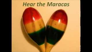 Hear the Maracas  Rumba Shakers  Rattles  Percussion Instrument [upl. by Arraeis554]