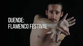 Highlights from Duende Flamenco Festival [upl. by Varden579]