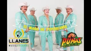 EL MORO DE TEPEHUANES LOS PUMAS DEL NORTE audio ariginal [upl. by Nairrot195]