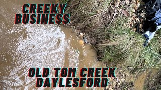 Creeky Business  Daylesford [upl. by Nogras]