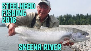 Steelhead Flyfishing Skeena River Terrace 2018 [upl. by Timothea]