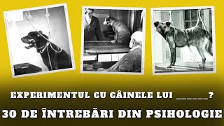 20 Întrebări de Cultură Generală din Psihologie [upl. by Margie]