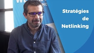 Stratégies de NetLinking en Référencement  Paul Sanches [upl. by Jobie132]