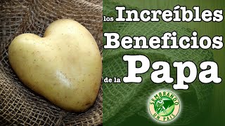 Los Increíbles Beneficios de la Papa🍠 [upl. by Gerstner]