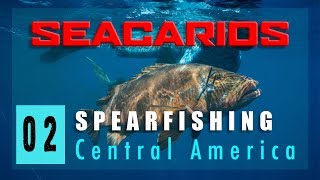 Spearfishing Panama  Seacarios [upl. by Wurster]