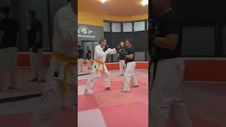 Tai sabaki  Karate Jutsu karaté artesmarciais karatejutsu [upl. by Rol]