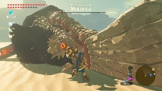 Savage Lynel Shield Destroys Molduga  Zelda Breath of the Wild [upl. by Baird]