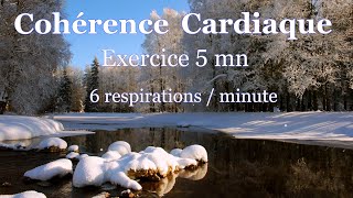 Cohérence cardiaque exercices 5 mn  6 respirations  minute [upl. by Rebeca370]