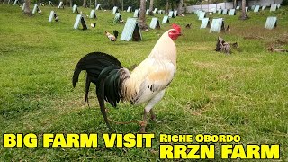 Big Farm Visit Riche Obordo  RRZN FARM [upl. by Gillette]