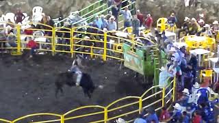 torasos en jaripeo de coeneo Michoacán [upl. by Shaia]