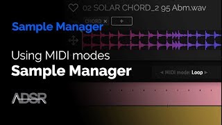 Using MIDI modes in ADSR Sample Manager   FREE plugin Download [upl. by Schlicher]