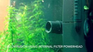 CO2 Diffusion using Internal Filter Powerhead [upl. by Alaekim]