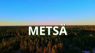 Tulevaisuuden Metsät  Metsä360 kilpailu [upl. by Hannahsohs]