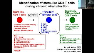 Yale Cancer Center Distinguished Lecture Series  October 8 2024 [upl. by Gnehp]