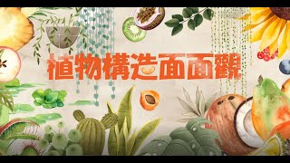 生物科動畫植物構造面面觀 [upl. by Venable626]