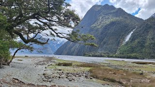 Milford Sound Foreshore Walk [upl. by North]