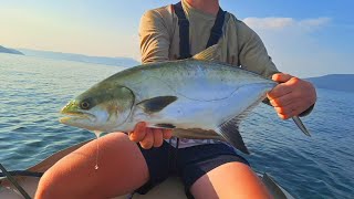 Leerfish and Seabass Fishing on Topwater Lures Brancini amp Lice na Ušču Neretve [upl. by Nerrad]