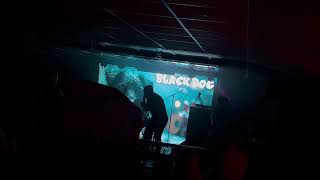 Tremplin THE BAND S08E08 Black Dog Live2 [upl. by Esertal]