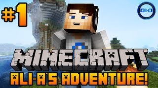 Minecraft  AliAs Adventure 1  quotFALLING SHEEPquot [upl. by Stochmal]