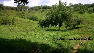 Volver al Campo  Banda 19 de Marzo de Laguneta  Cordoba [upl. by Oeramed]