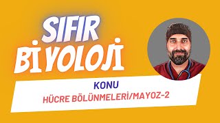 Hücre Bölünmeleri Mayoz2 Sıfır Biyoloji  Dr Biyoloji [upl. by Kcirdahs]