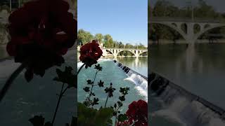 Marvelous Bremgarten 🇨🇭 Switzerland switzerland swissnature shortvideo swissbeautiful shorts [upl. by Jarvis872]