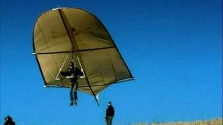 Leonardo da Vinci Glider  reality test Rate My Science [upl. by Severson816]