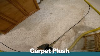 Water Stain Flooded Carpet ASMR Satisfying Dirt Cleaning Mesmerizing Relaxing Videos [upl. by Hseham112]