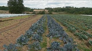 La ferme collective Bio de la Tournerie  un modèle innovant [upl. by Nylime931]