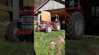 Massey Ferguson 135 Allrad [upl. by Nesyaj]