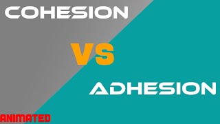 Cohesion vs Adhesion [upl. by Ailisab5]