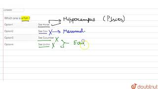 Which one is a fish   12  VERTEBRATAAGNATHA AND PISCES  BIOLOGY  DINESH PUBLICATION  Dou [upl. by Gnuoy]