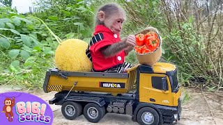 Farmer BiBi harvest fruit to make juice [upl. by Micky132]