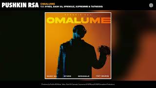 Pushkin RSA  Omalume Official Video feat Sykes Dash SA Springle Supremme amp TampTMusiq [upl. by Ojybbob]