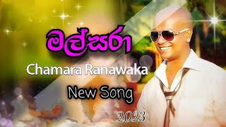 Malsara  මල්සරා  Chamara Ranawaka  New Reggae Song 2023 [upl. by Desi]