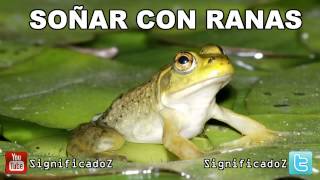 Significado de Soñar con Ranas 🔞 ¿Que Significa [upl. by Retha]