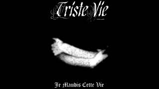 Tristevie  Le Maudis Cette Vie DSBM Depressive Black Metal Album [upl. by Hillary]