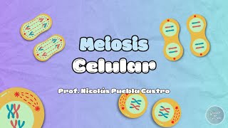 Meiosis en 5 minutos [upl. by Ruon]